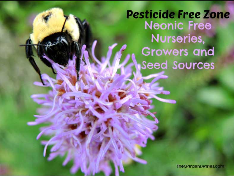 Neonic Pesticide Free Nursery