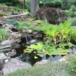 Transforming a Hillside into Pond and Waterfall