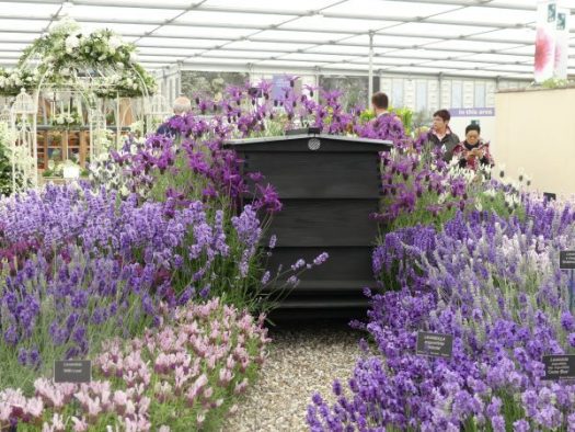 A beautiful bee hive surrounded by lavender at Chelsea Flower Show