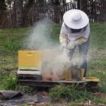 Beekeeping for Newbees and Wannabees