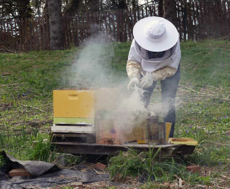 Blog-#9-Beekeeping-for-Newbees-and-Wannabees-sm