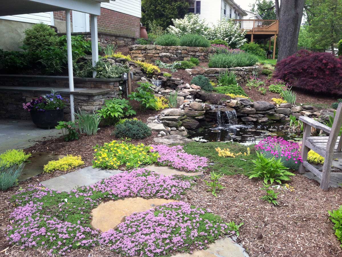 Plantings-around-a-pond-and-waterfall