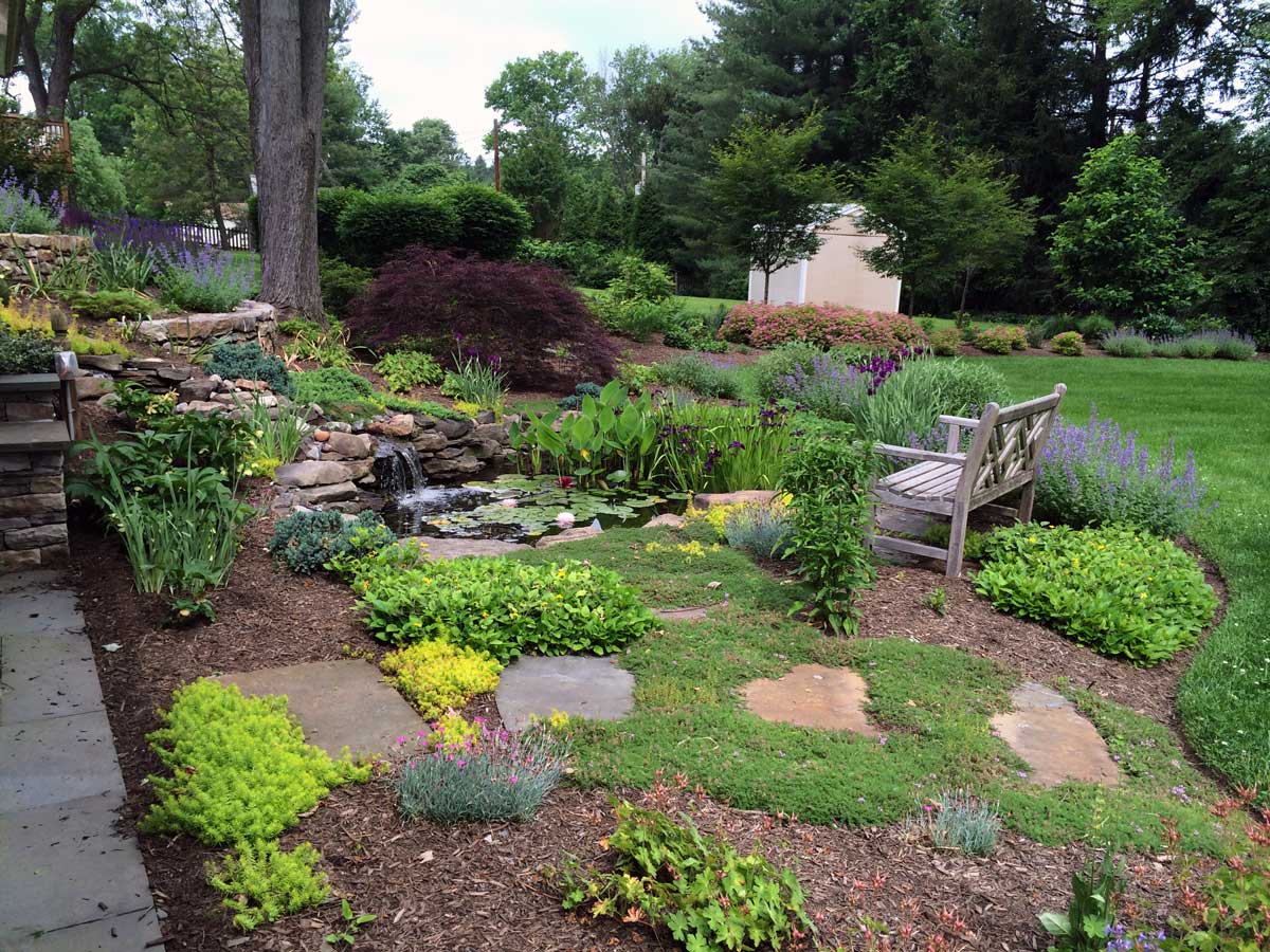 Pond-plantings