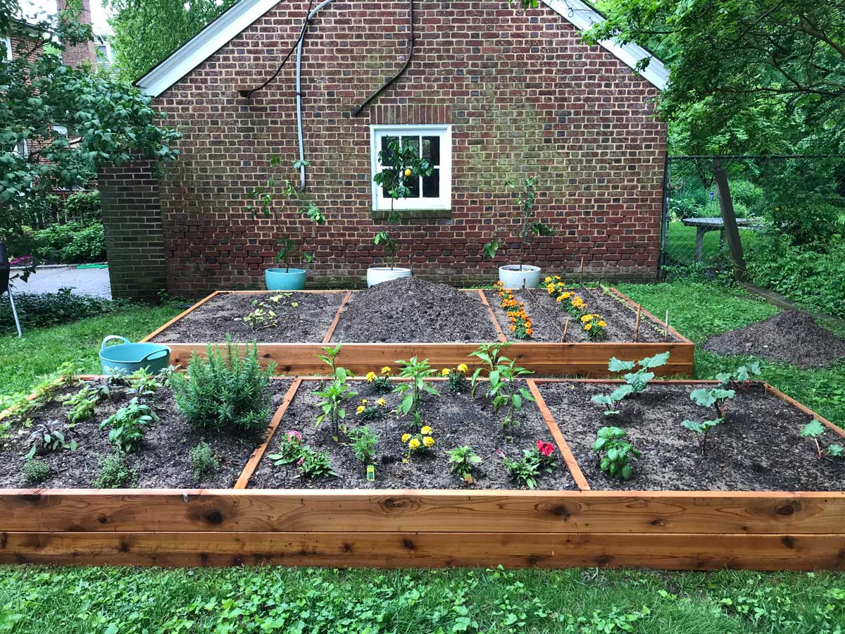 Raised-beds