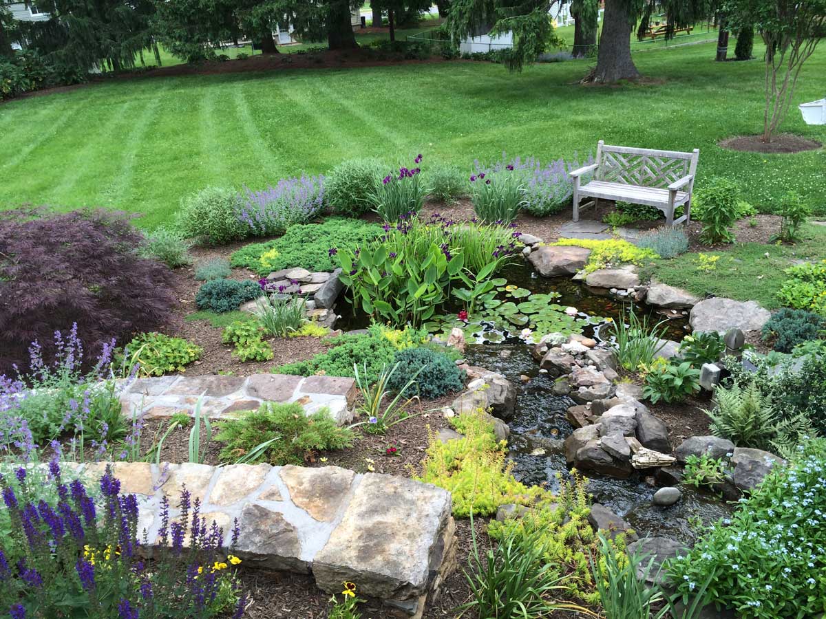 Walls and pond on hillside